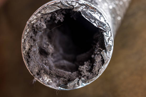 Best Ductwork Cleaning Services  in Ranson, WV